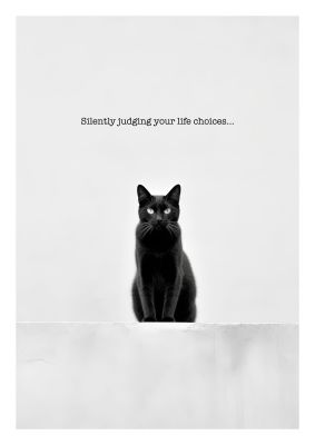 Black and white cat portrait with witty text