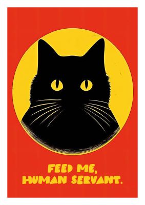 Black cat with humorous text in vibrant yellow and red background