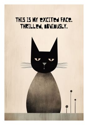 Humorous black cat with a sarcastic expression and text