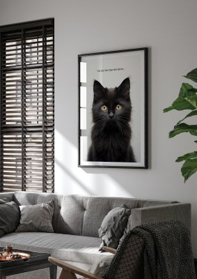 Black cat with yellow eyes and text