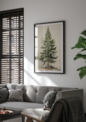 Evergreen pine tree illustration in vintage botanical style