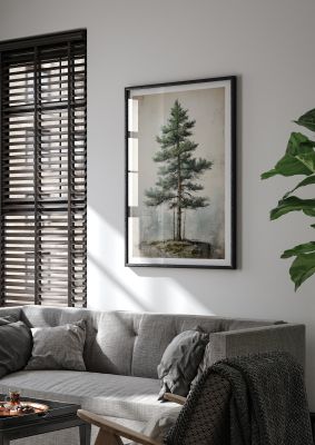 Classic pine tree botanical illustration with a vintage touch