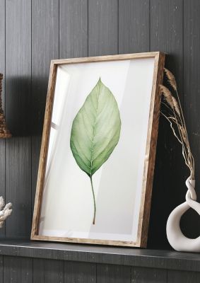 Minimalist leaf illustration with a single green leaf on white background