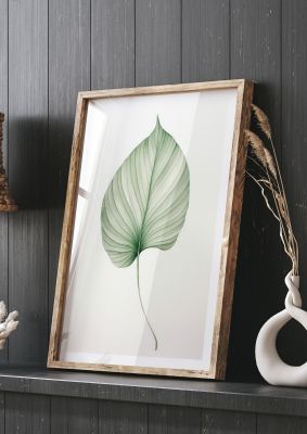 Minimalist leaf illustration with detailed vein structure on white background