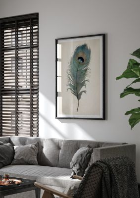 Vintage peacock feather illustration with detailed eye spot
