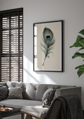 Classic peacock feather illustration with a focus on blue and green hues
