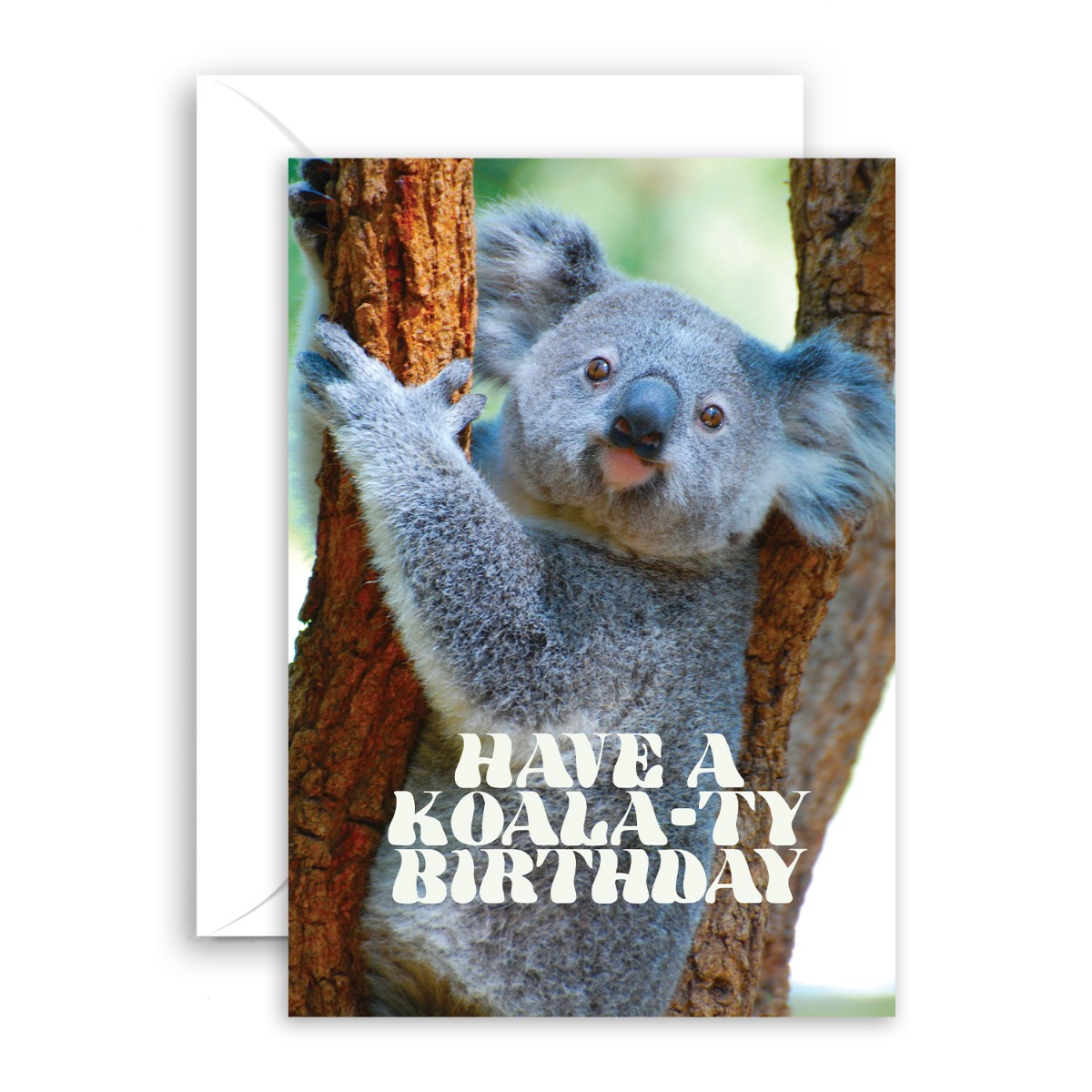 card category lifestyle image